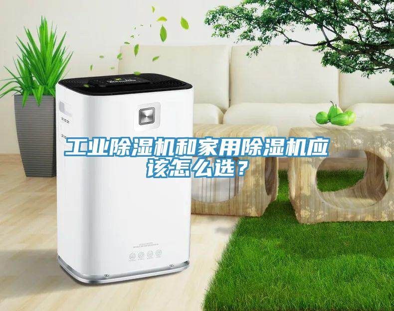 工业辣椒视频APP下载并安装和家用辣椒视频APP下载并安装应该怎么选？