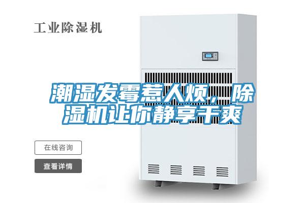 潮湿发霉惹人烦，辣椒视频APP下载并安装让你静享干爽