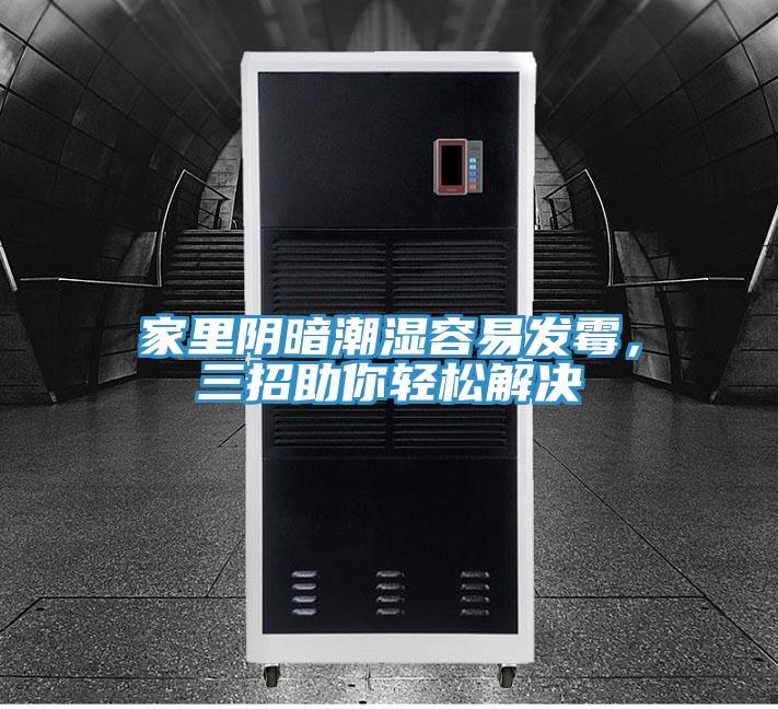 家里阴暗潮湿容易发霉，三招助你轻松解决