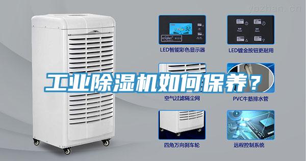 工业辣椒视频APP下载并安装如何保养？