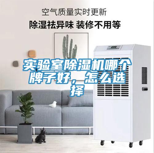 实验室辣椒视频APP下载并安装哪个牌子好，怎么选择