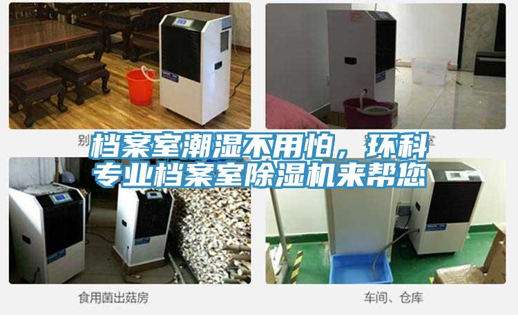 档案室潮湿不用怕，环科专业档案室辣椒视频APP下载并安装来帮您