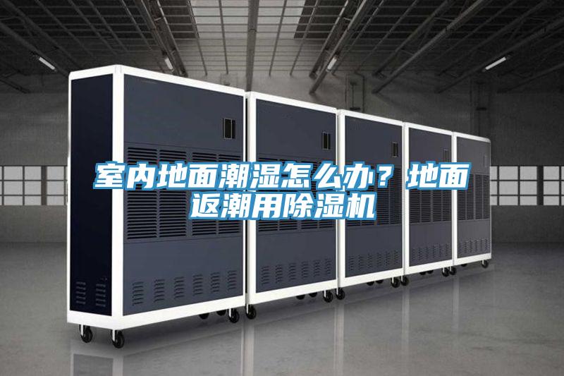 室内地面潮湿怎么办？地面返潮用辣椒视频APP下载并安装