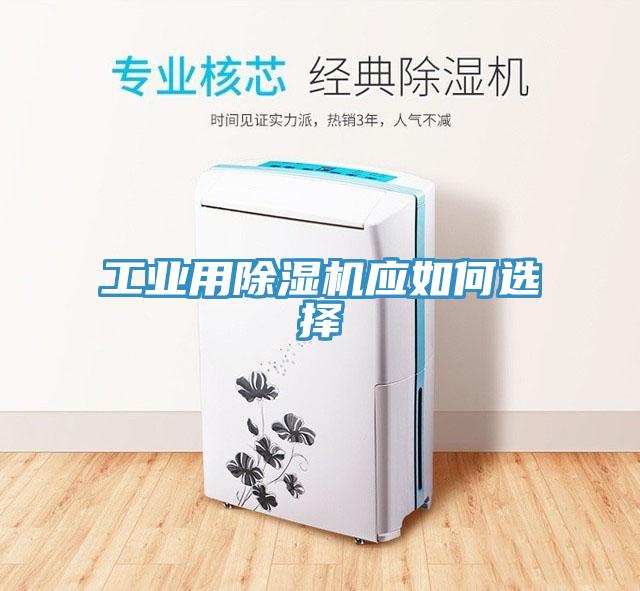 工业用辣椒视频APP下载并安装应如何选择