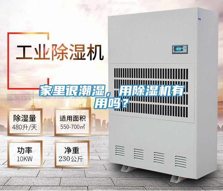 家里很潮湿，用辣椒视频APP下载并安装有用吗？