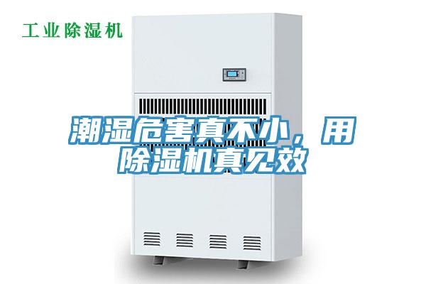潮湿危害真不小，用辣椒视频APP下载并安装真见效