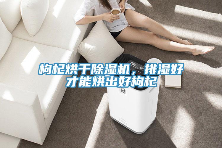 枸杞烘干辣椒视频APP下载并安装，排湿好才能烘出好枸杞