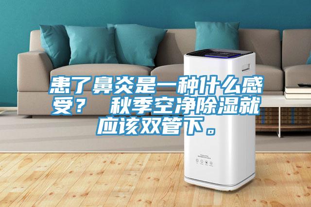 患了鼻炎是一种什么感受？ 秋季空净除湿就应该双管下。
