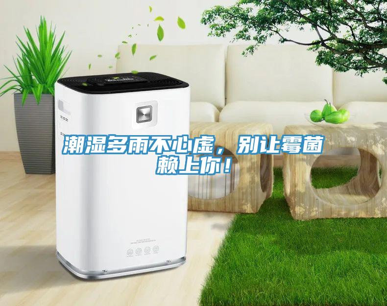 潮湿多雨不心虚，别让霉菌赖上你！