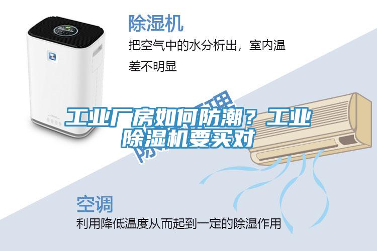 工业厂房如何防潮？工业辣椒视频APP下载并安装要买对