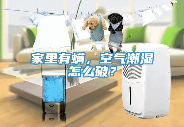 家里有螨，空气潮湿怎么破？