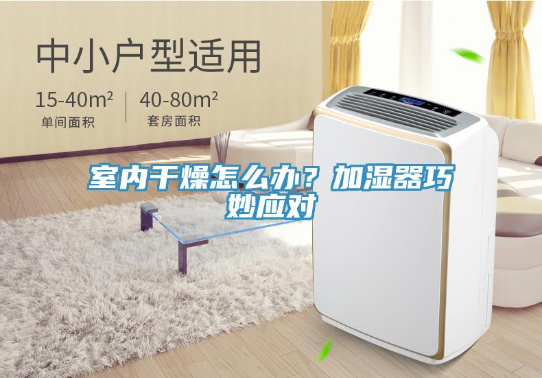 室内干燥怎么办？加湿器巧妙应对