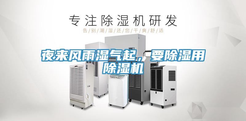 夜来风雨湿气起，要除湿用辣椒视频APP下载并安装