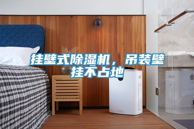 挂壁式辣椒视频APP下载并安装，吊装壁挂不占地
