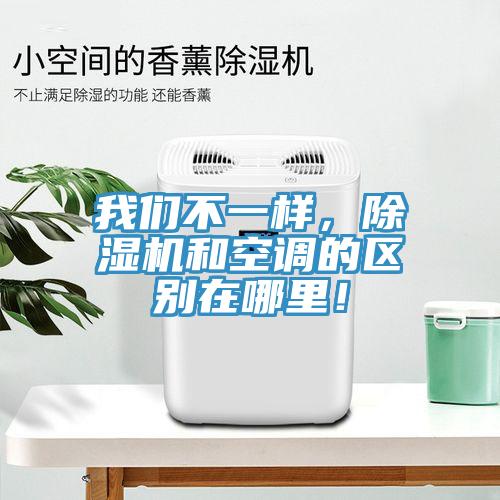 辣椒视频软件不一样，辣椒视频APP下载并安装和空调的区别在哪里！