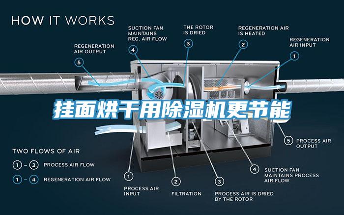 挂面烘干用辣椒视频APP下载并安装更节能