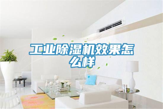 工业辣椒视频APP下载并安装效果怎么样