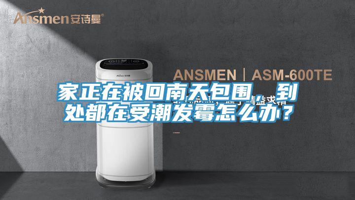 家正在被回南天包围，到处都在受潮发霉怎么办？