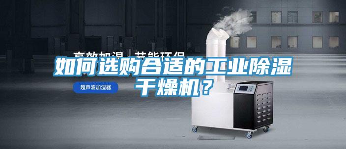 如何选购合适的工业除湿干燥机？