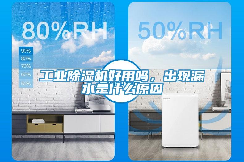 工业辣椒视频APP下载并安装好用吗，出现漏水是什么原因