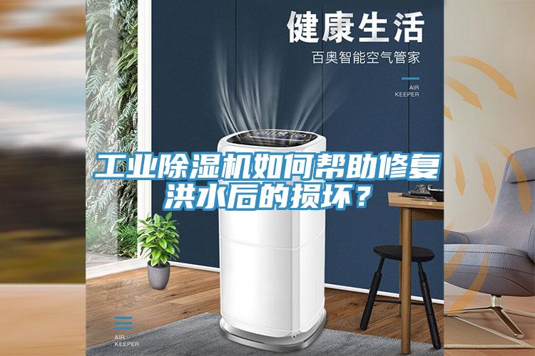 工业辣椒视频APP下载并安装如何帮助修复洪水后的损坏？