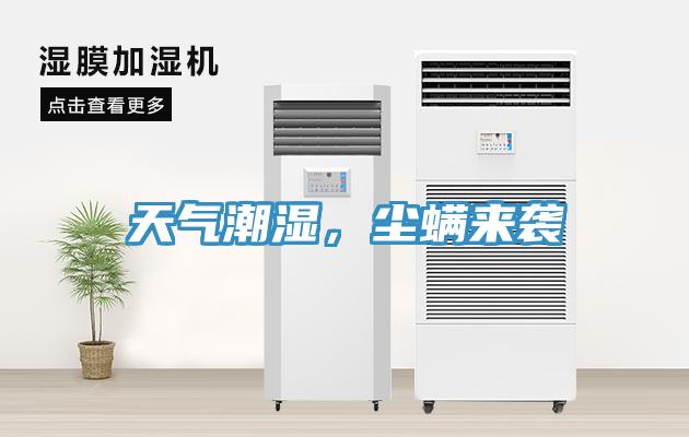 天气潮湿，尘螨来袭