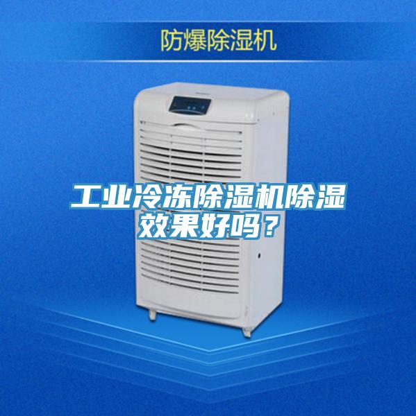 工业冷冻辣椒视频APP下载并安装除湿效果好吗？