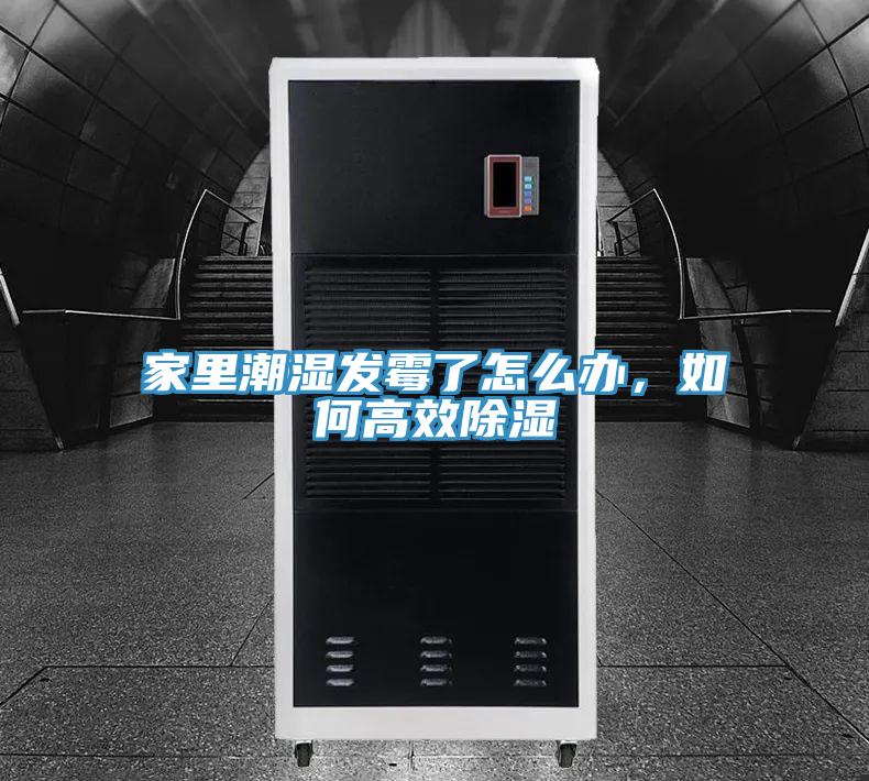 家里潮湿发霉了怎么办，如何高效除湿