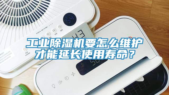 工业辣椒视频APP下载并安装要怎么维护才能延长使用寿命？