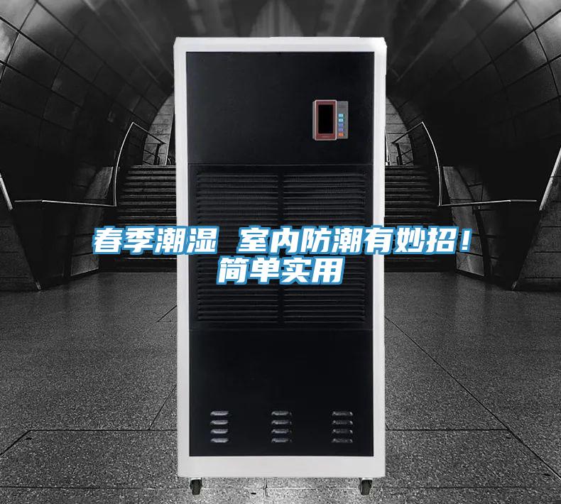 春季潮湿 室内防潮有妙招！简单实用