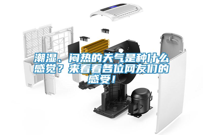 潮湿、闷热的天气是种什么感觉？来看看各位网友们的感受！