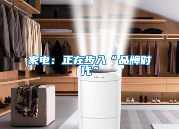 家电：正在步入“品牌时代”