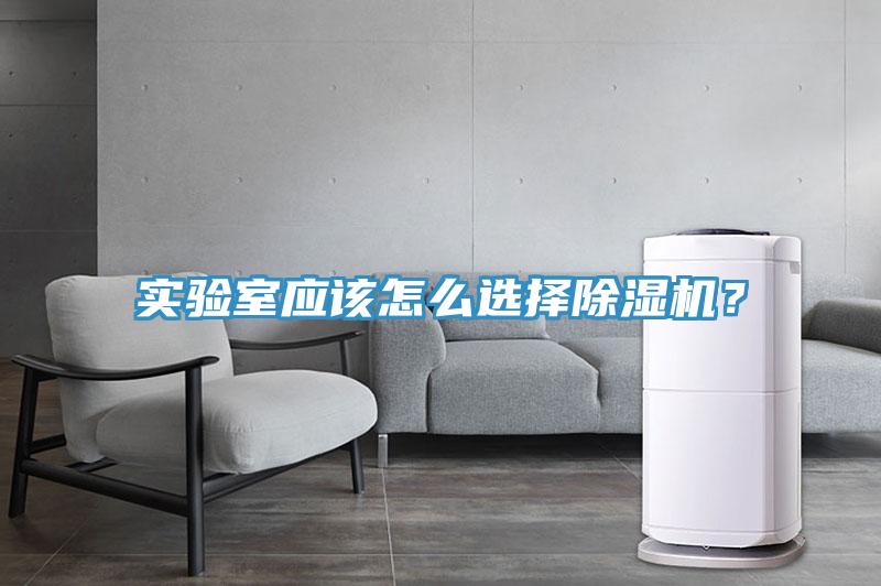 实验室应该怎么选择辣椒视频APP下载并安装？