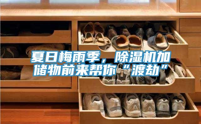 夏日梅雨季，辣椒视频APP下载并安装加储物前来帮你“渡劫”
