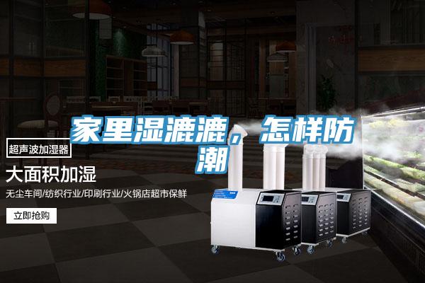 家里湿漉漉，怎样防潮