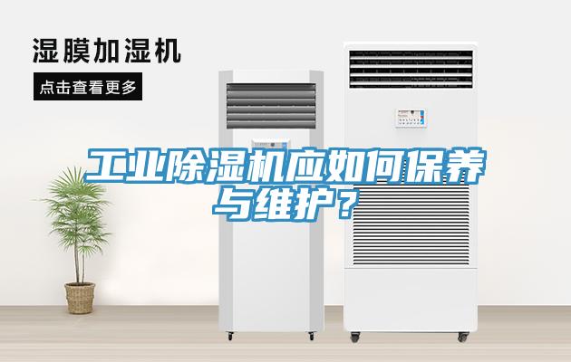 工业辣椒视频APP下载并安装应如何保养与维护？