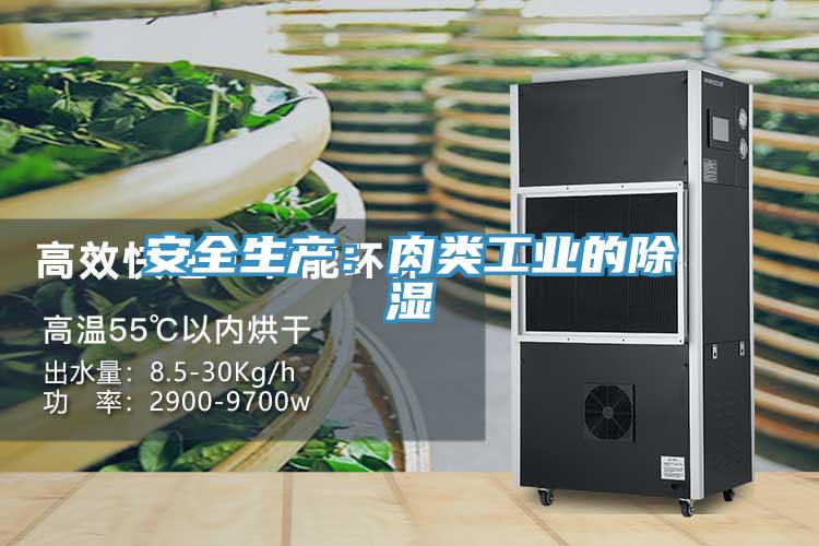 安全生产：肉类工业的除湿