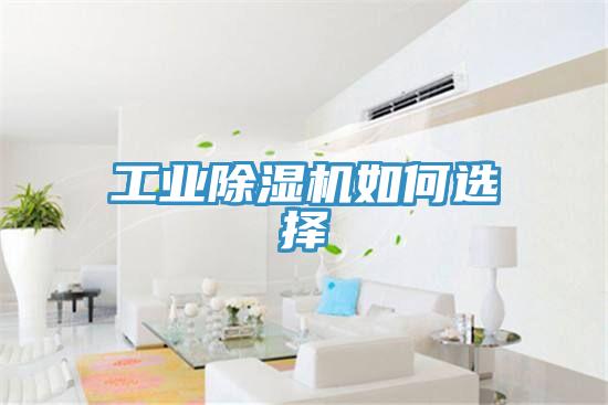 工业辣椒视频APP下载并安装如何选择
