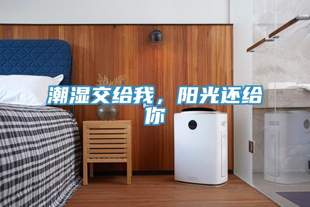 潮湿交给我，阳光还给你