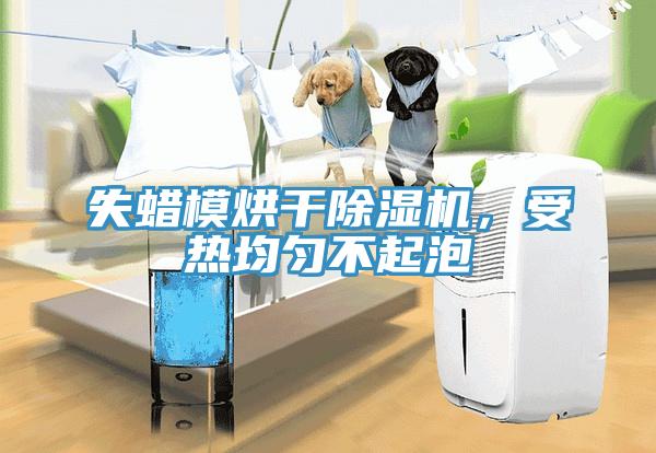 失蜡模烘干辣椒视频APP下载并安装，受热均匀不起泡