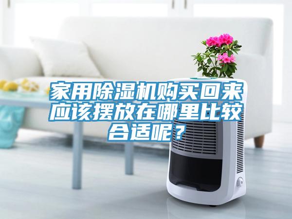 家用辣椒视频APP下载并安装购买回来应该摆放在哪里比较合适呢？