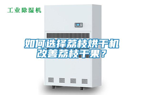如何选择荔枝烘干机改善荔枝干果？