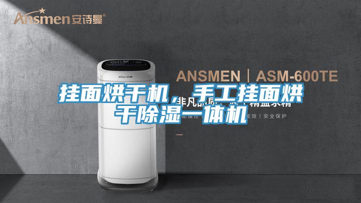 挂面烘干机，手工挂面烘干除湿一体机