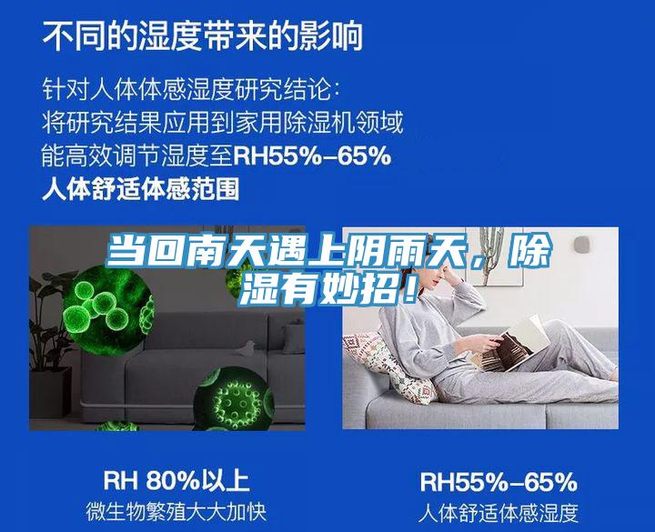 当回南天遇上阴雨天，除湿有妙招！