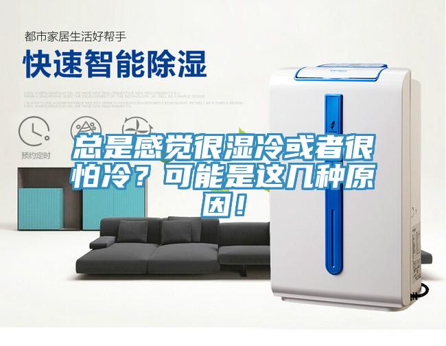 总是感觉很湿冷或者很怕冷？可能是这几种原因！