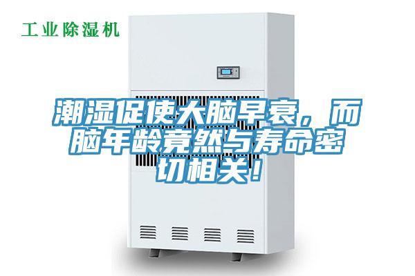 潮湿促使大脑早衰，而脑年龄竟然与寿命密切相关！