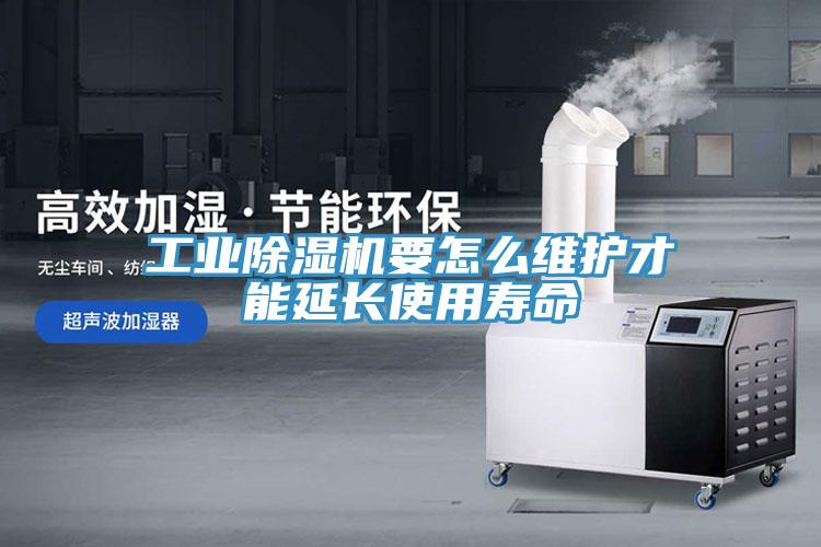 工业辣椒视频APP下载并安装要怎么维护才能延长使用寿命