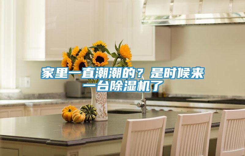 家里一直潮潮的？是时候来一台辣椒视频APP下载并安装了