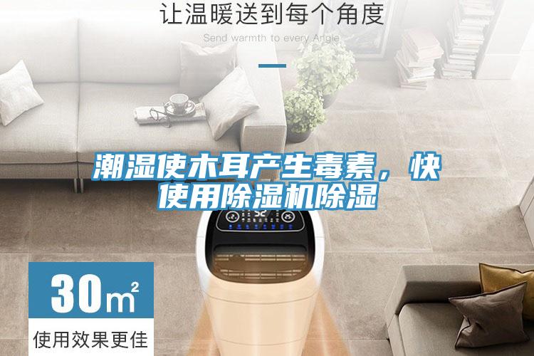 潮湿使木耳产生毒素，快使用辣椒视频APP下载并安装除湿