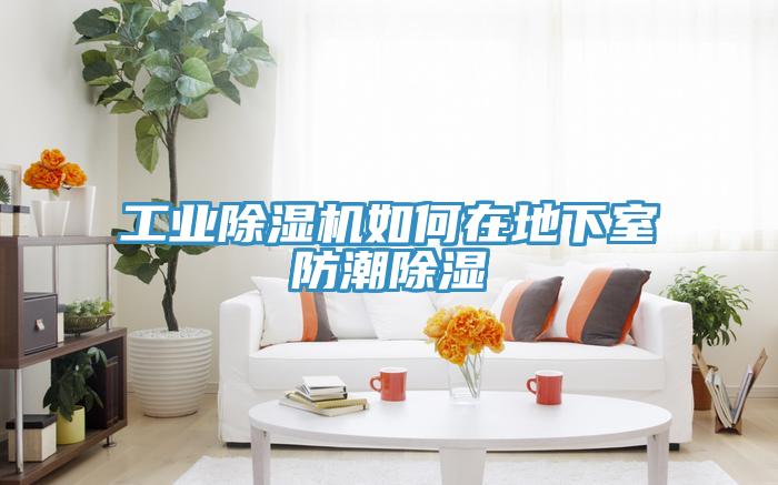 工业辣椒视频APP下载并安装如何在地下室防潮除湿